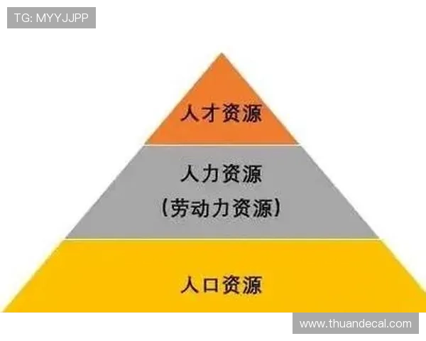 以布罗林为核心探讨未来城市发展的创新路径与可持续性挑战