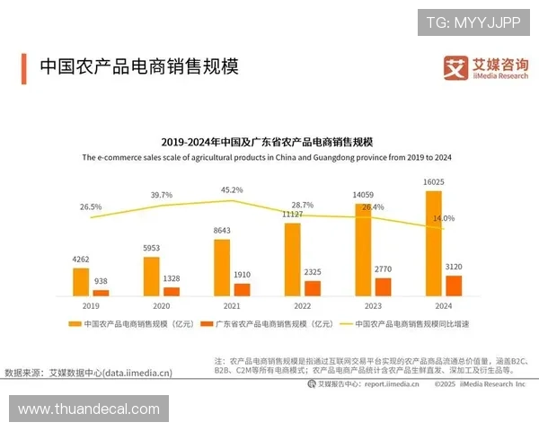 以一直播为平台，探索直播行业发展趋势与创新模式的未来前景